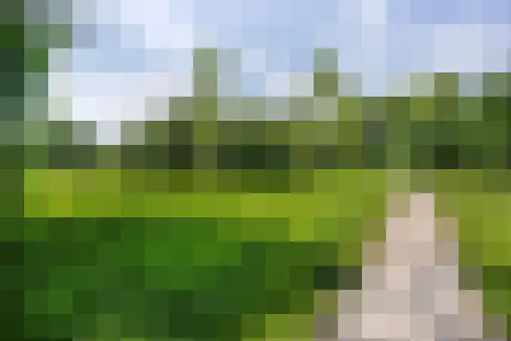 Grevelingen 35 Zwolle thumbnail 34