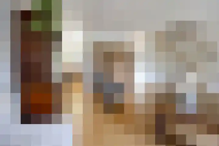 Grevelingen 35 Zwolle thumbnail 4