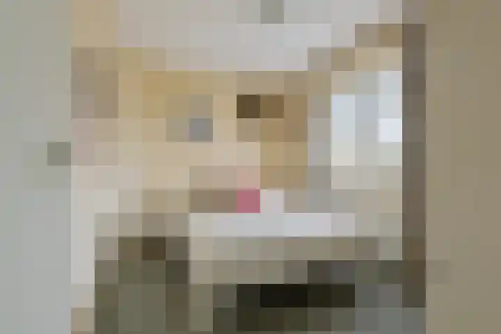 Grevelingen 38 Kaatsheuvel thumbnail 5