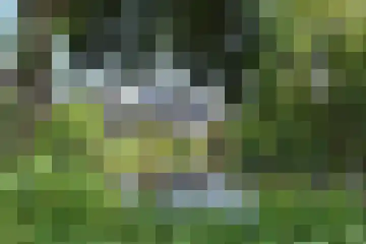 Grevelingen 38 Pijnacker