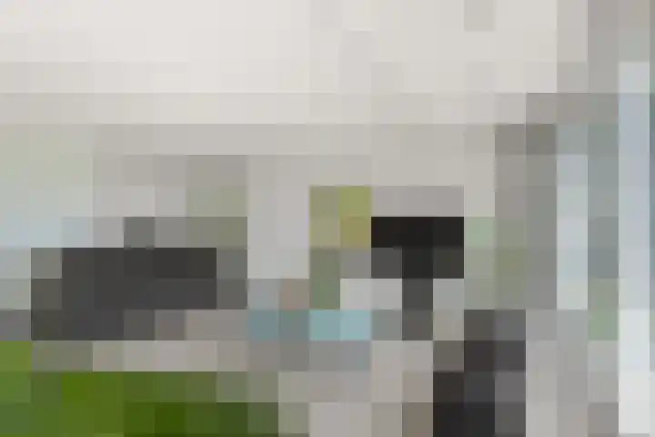 Grevelingen 39 Zwijndrecht thumbnail 28