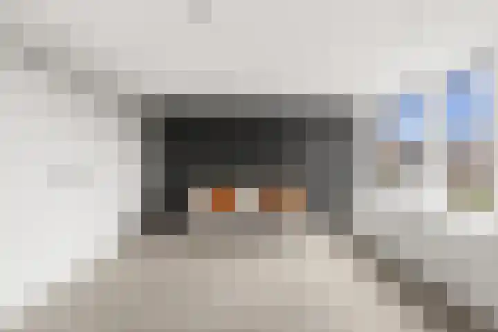 Grevelingen 39 Zwijndrecht thumbnail 48