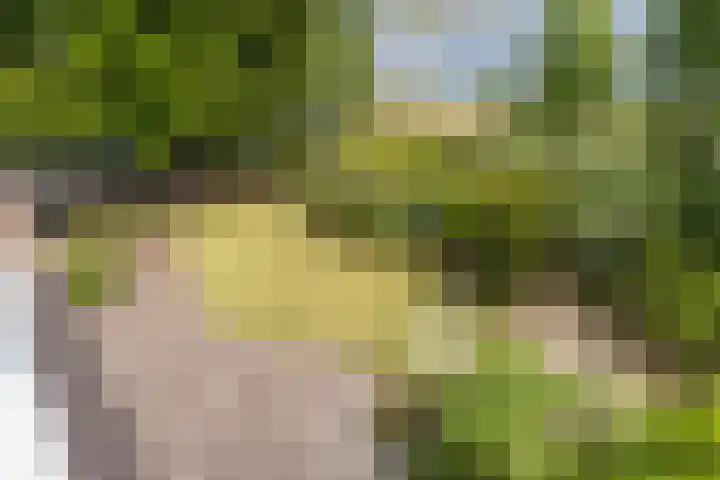 Grevelingen 39 Zwijndrecht thumbnail 68