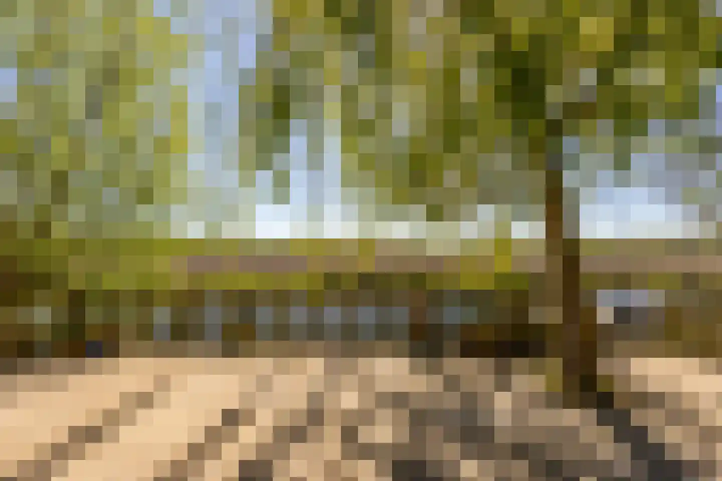 Grevelingen 40 Heemstede thumbnail 32