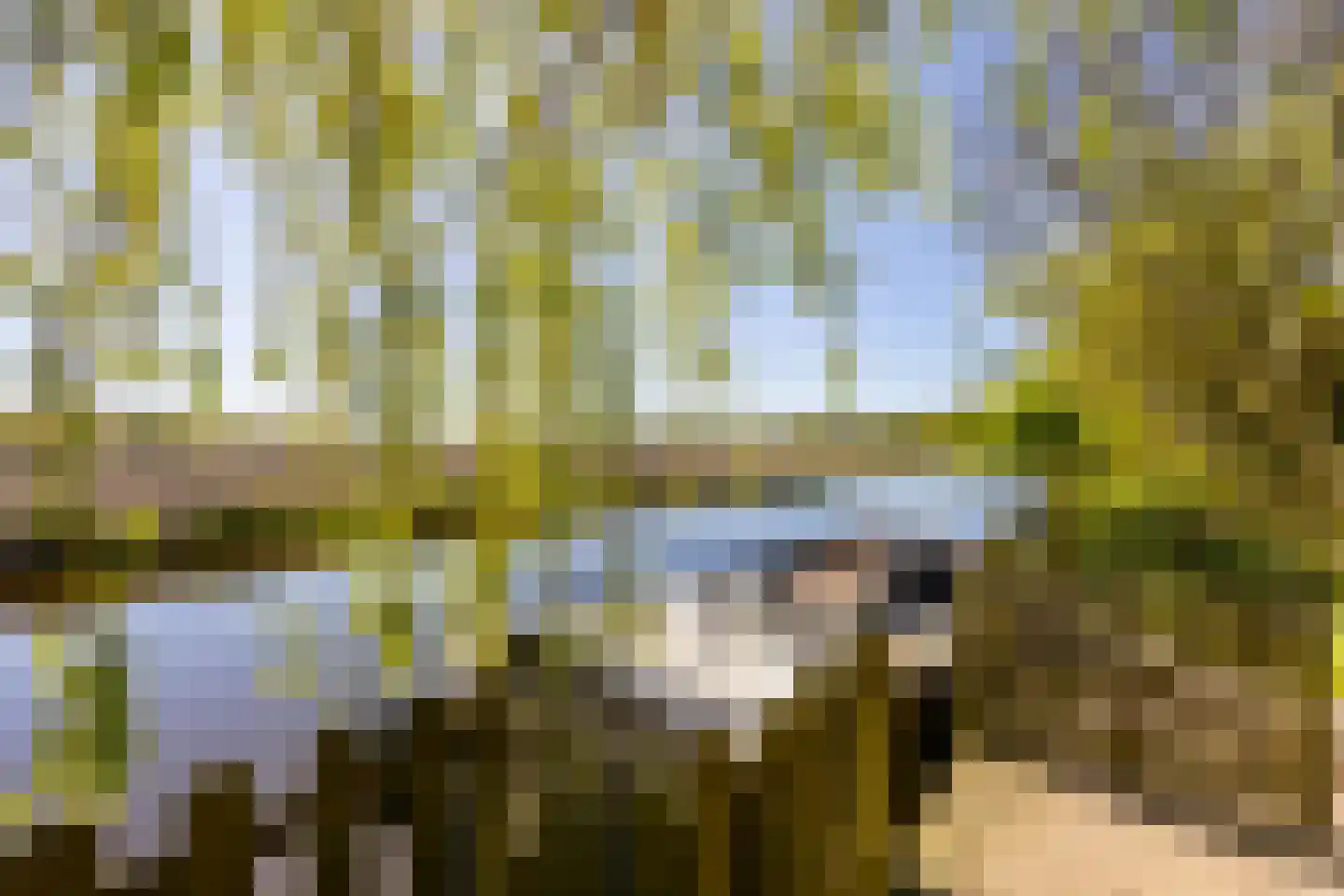 Grevelingen 40 Heemstede thumbnail 33