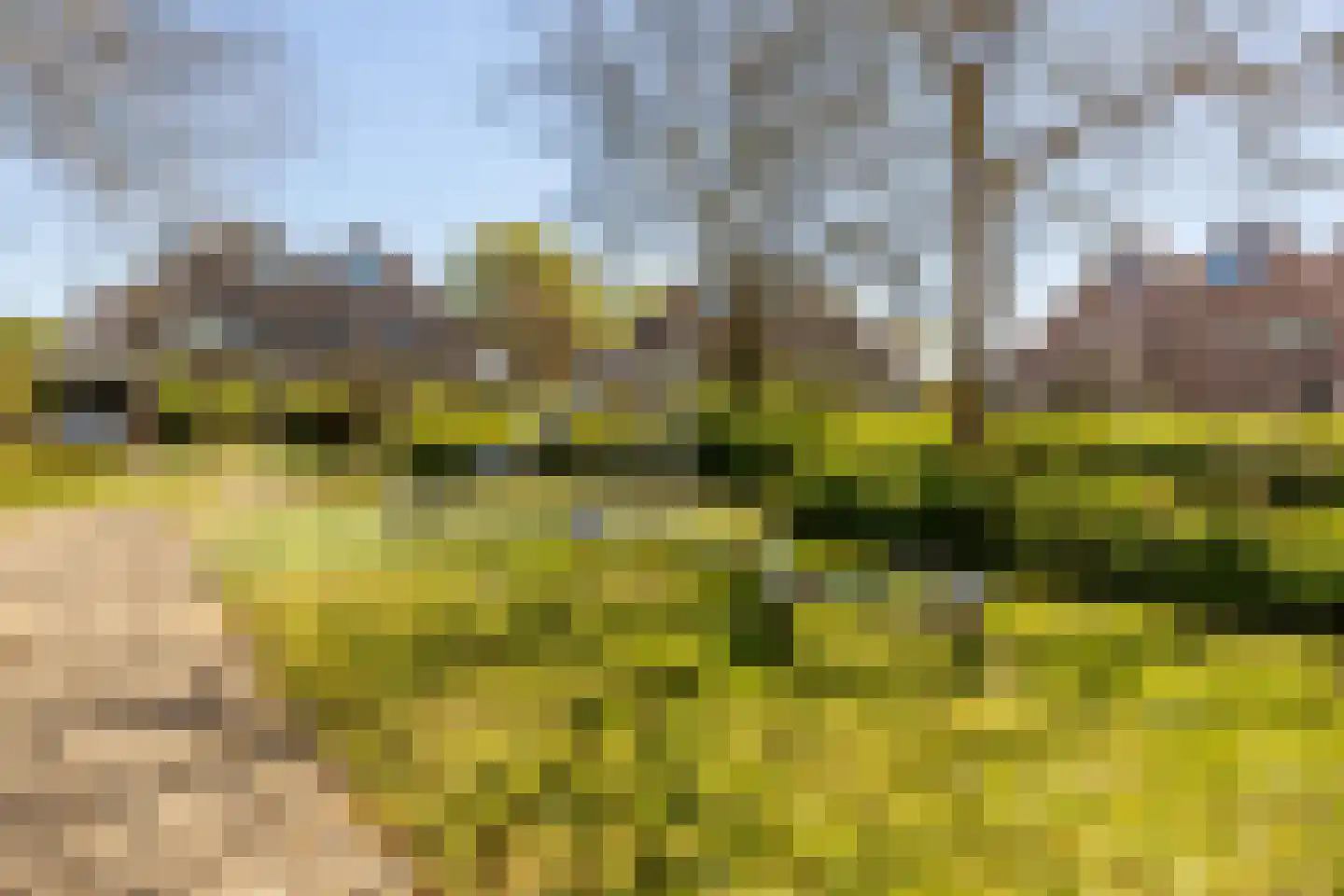 Grevelingen 40 Heemstede thumbnail 55