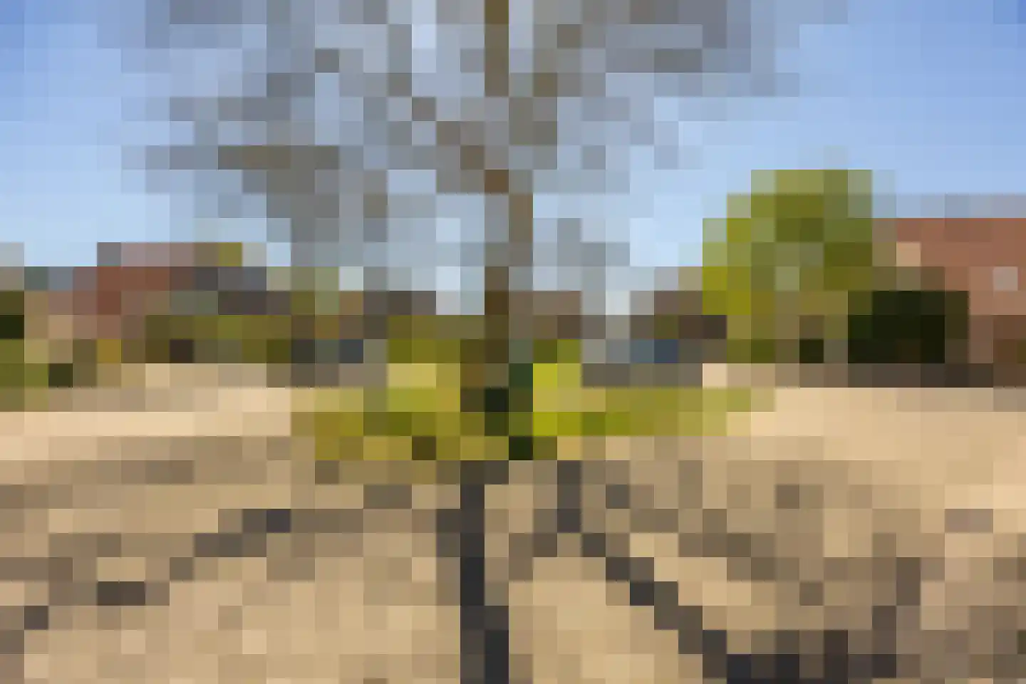 Grevelingen 40 Heemstede thumbnail 6