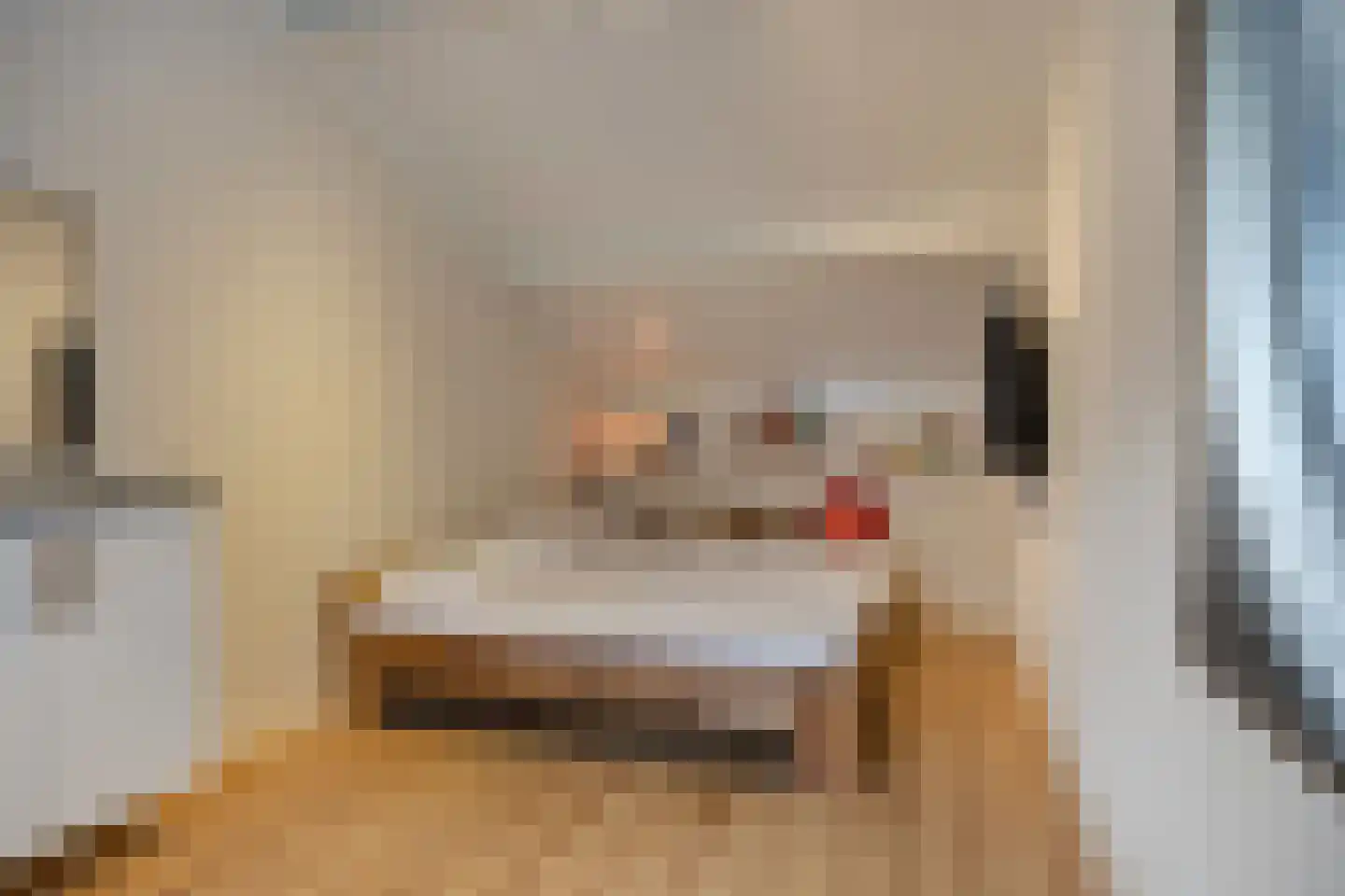 Grevelingen 40 Tilburg thumbnail 33