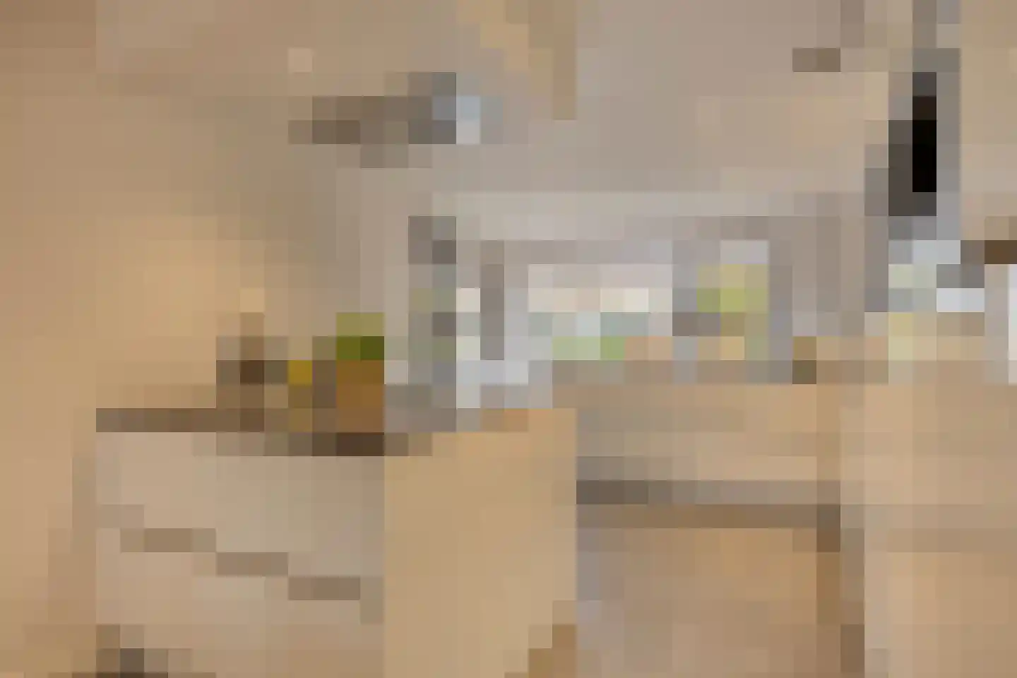 Grevelingen 40 Tilburg thumbnail 5
