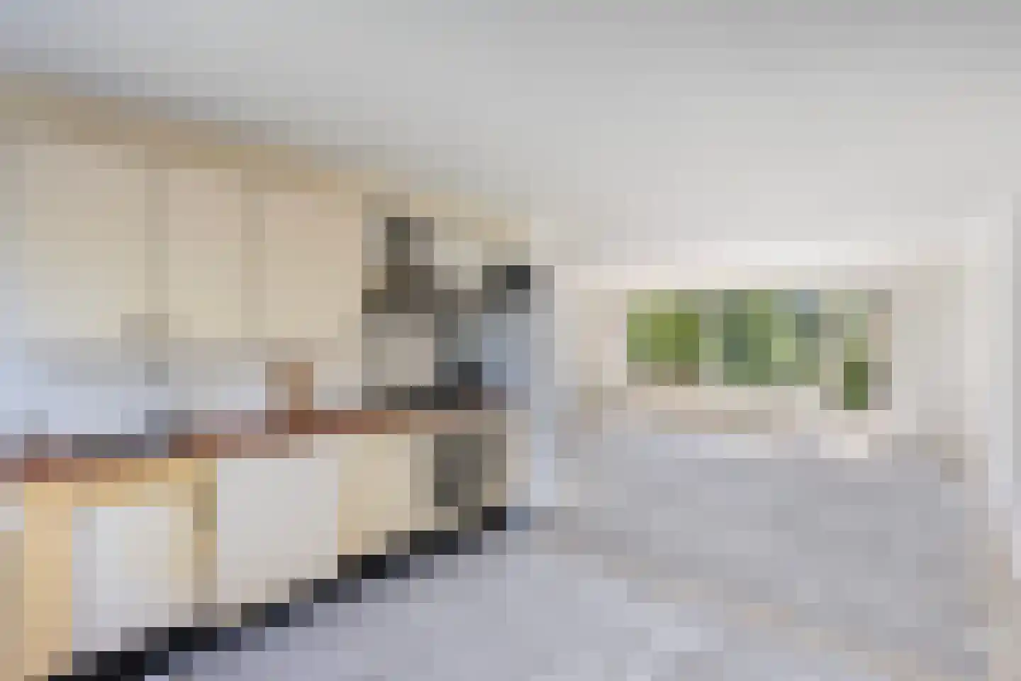 Grevelingen 46 Zwolle thumbnail 11