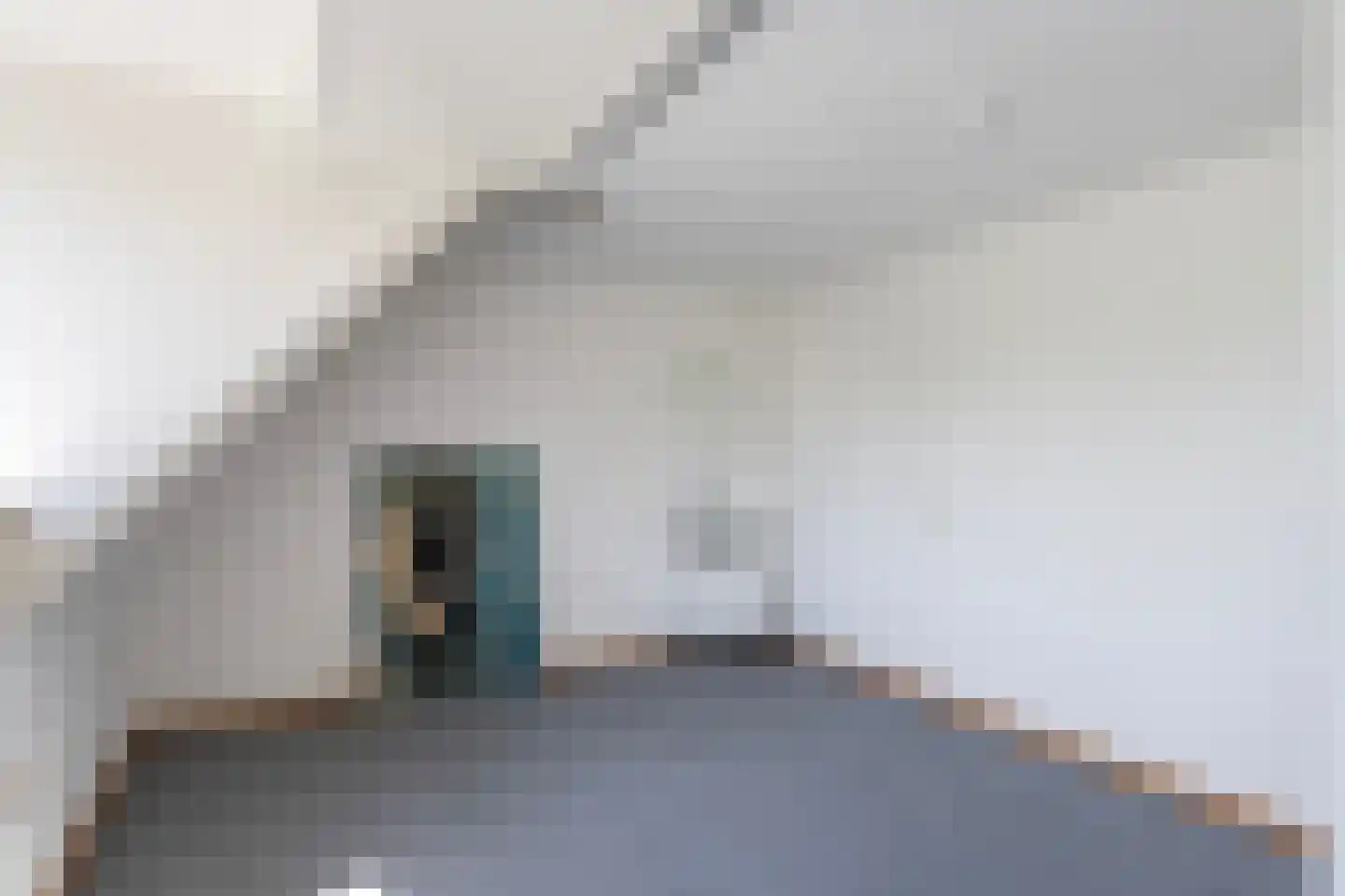Grevelingen 46 Zwolle thumbnail 20