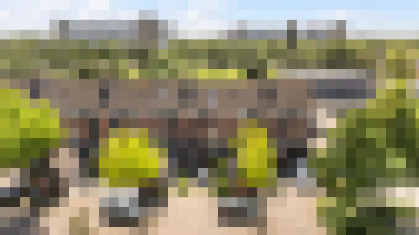 Grevelingen 46 Zwolle thumbnail 28