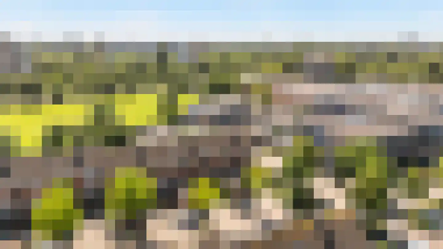 Grevelingen 46 Zwolle thumbnail 29