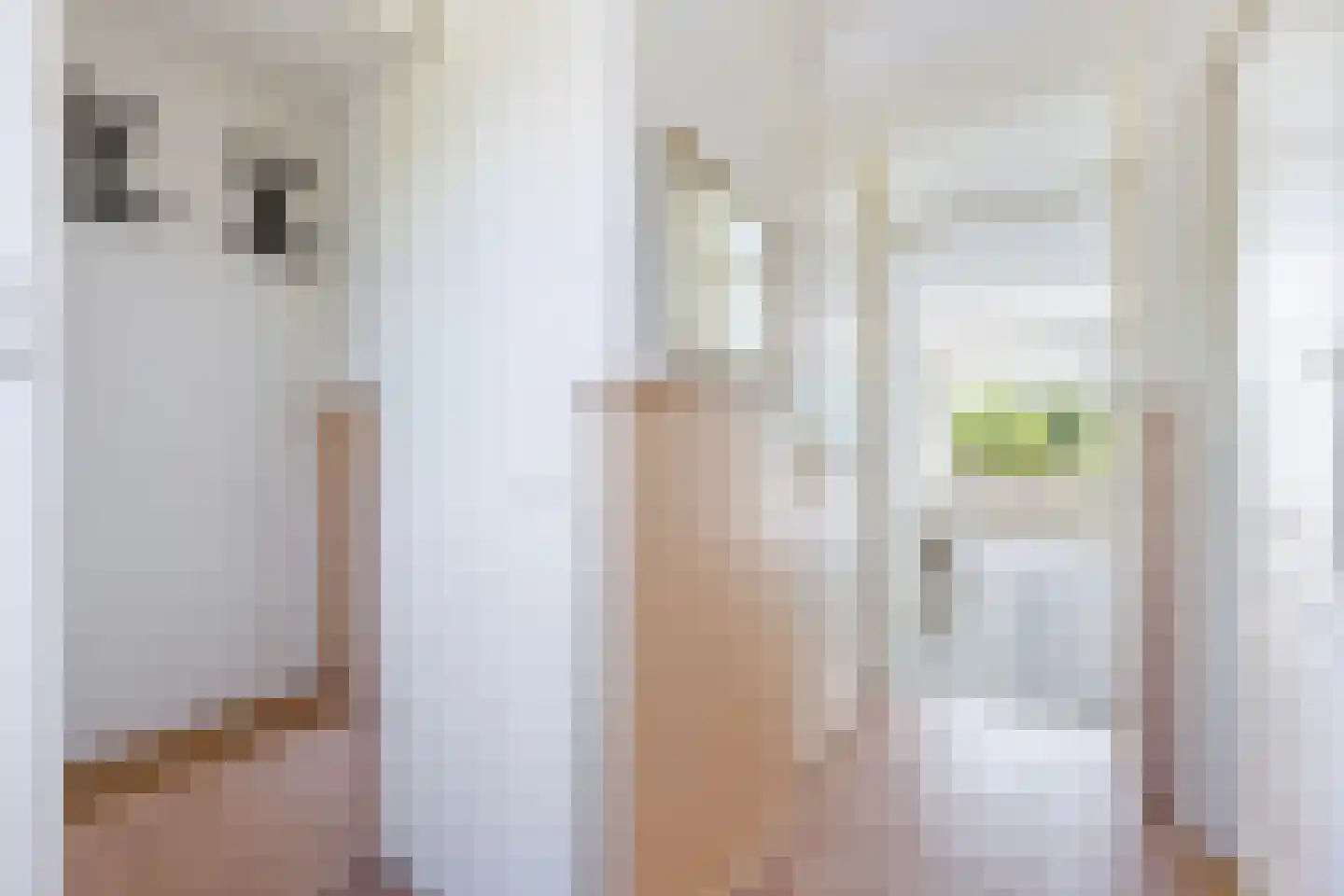 Grevelingen 46 Zwolle thumbnail 6