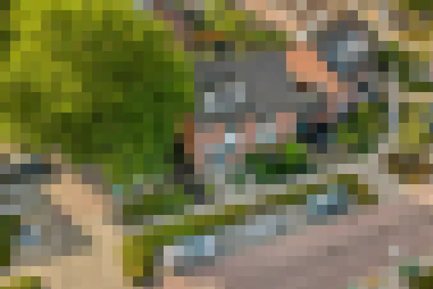Grevelingen 62 Alkmaar thumbnail 31