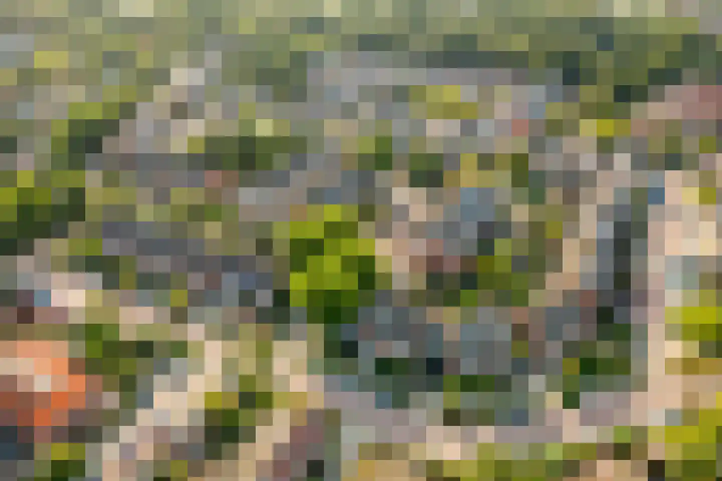 Grevelingen 62 Alkmaar thumbnail 37