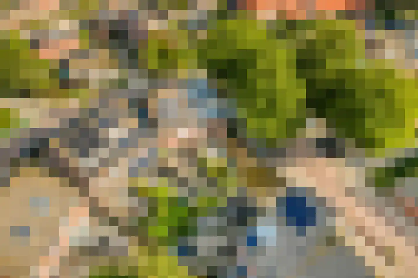 Grevelingen 62 Alkmaar thumbnail 38