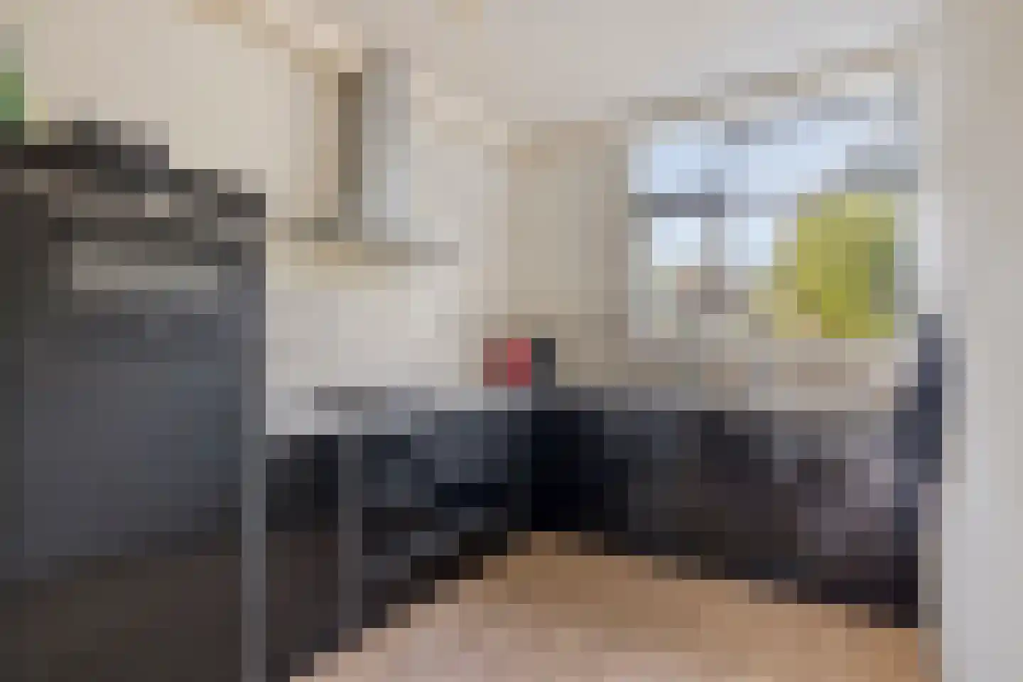 Grevelingen 62 Alkmaar thumbnail 5