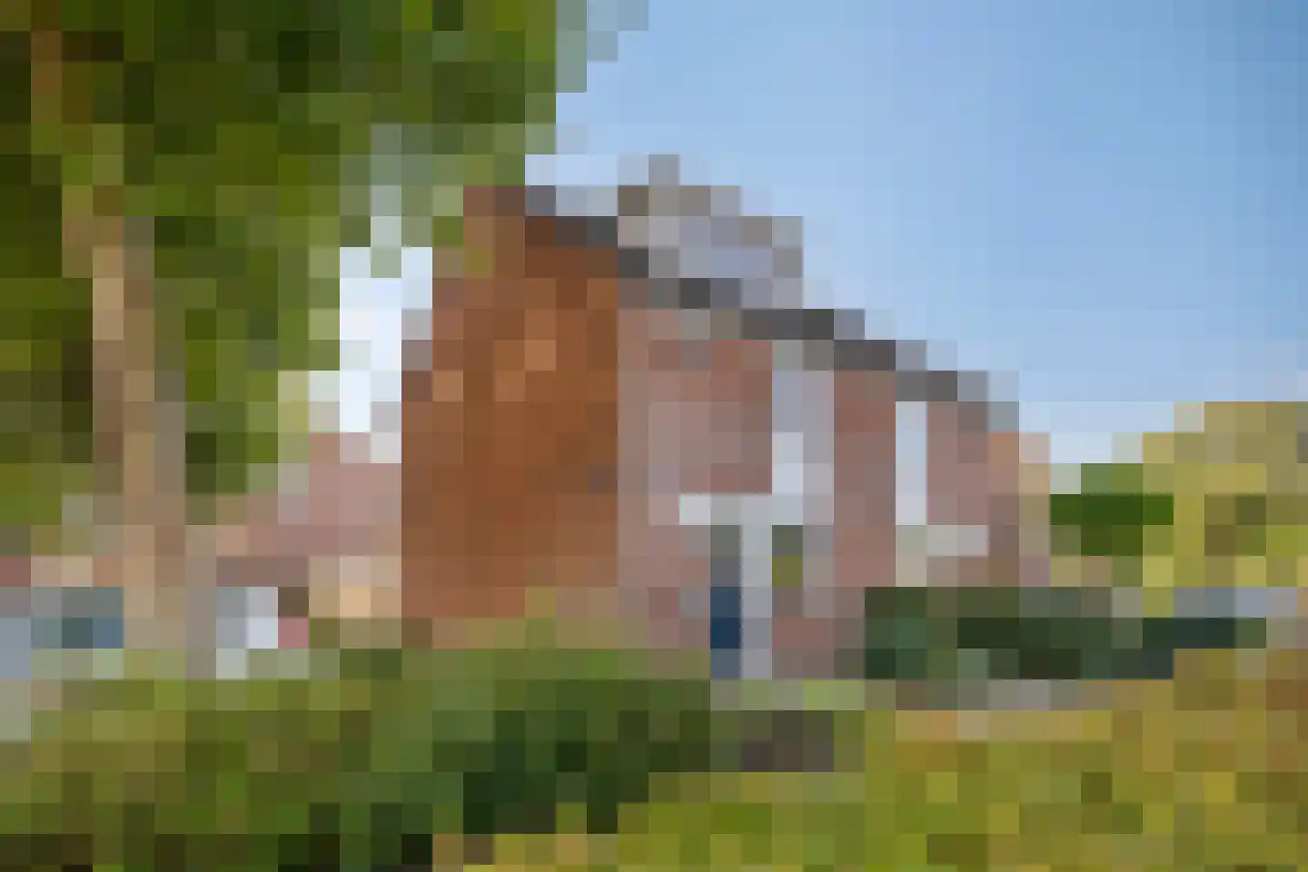 Grevelingen 62 Alkmaar thumbnail 6