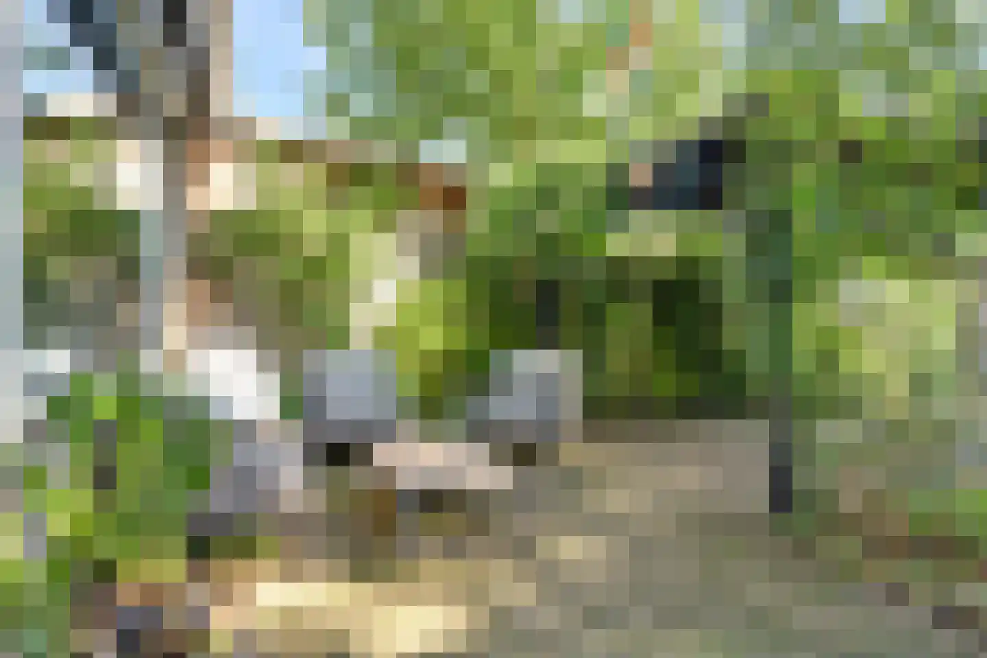 Grevelingen 64 Alphen aan den Rijn thumbnail 36