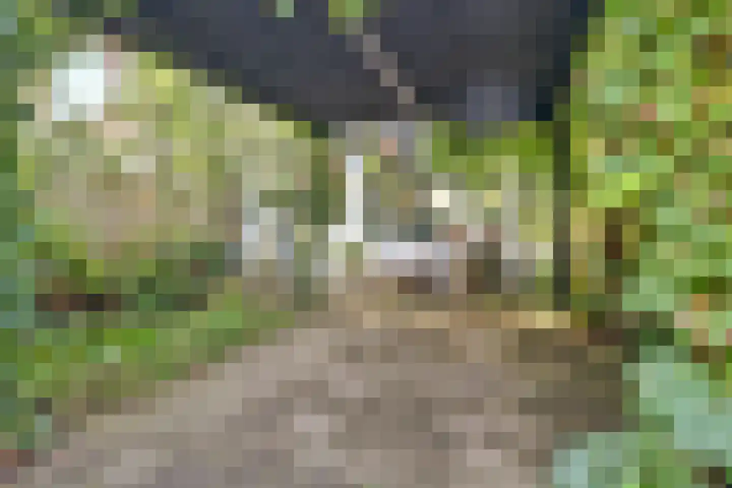 Grevelingen 64 Alphen aan den Rijn thumbnail 37