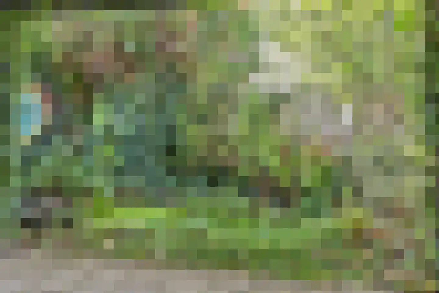 Grevelingen 64 Alphen aan den Rijn thumbnail 38