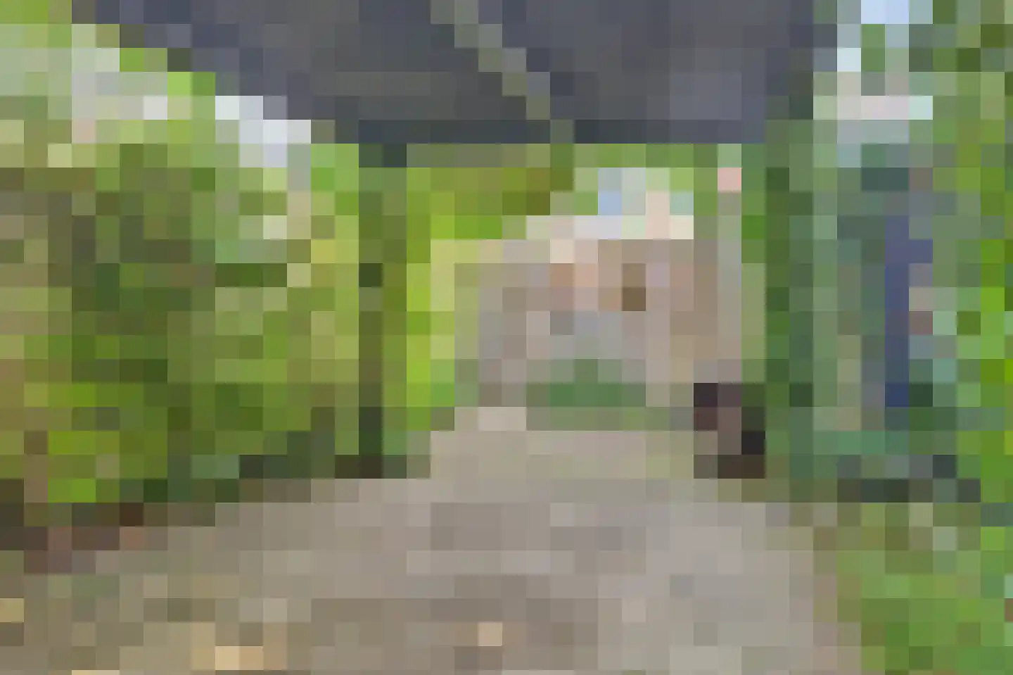 Grevelingen 64 Alphen aan den Rijn thumbnail 39
