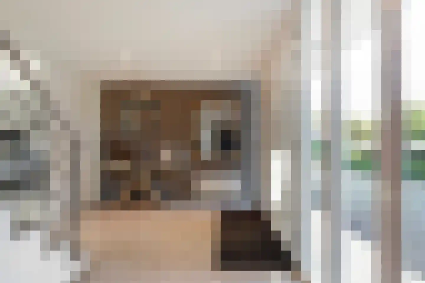 Grevelingen 73 Tilburg thumbnail 11