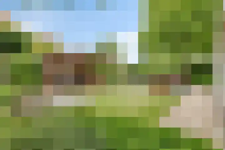 Grevelingen 73 Tilburg thumbnail 14