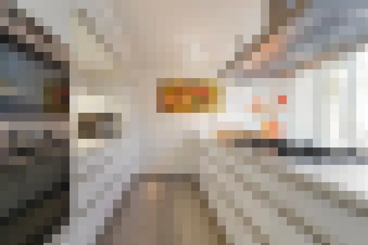 Grevelingen 73 Tilburg thumbnail 25