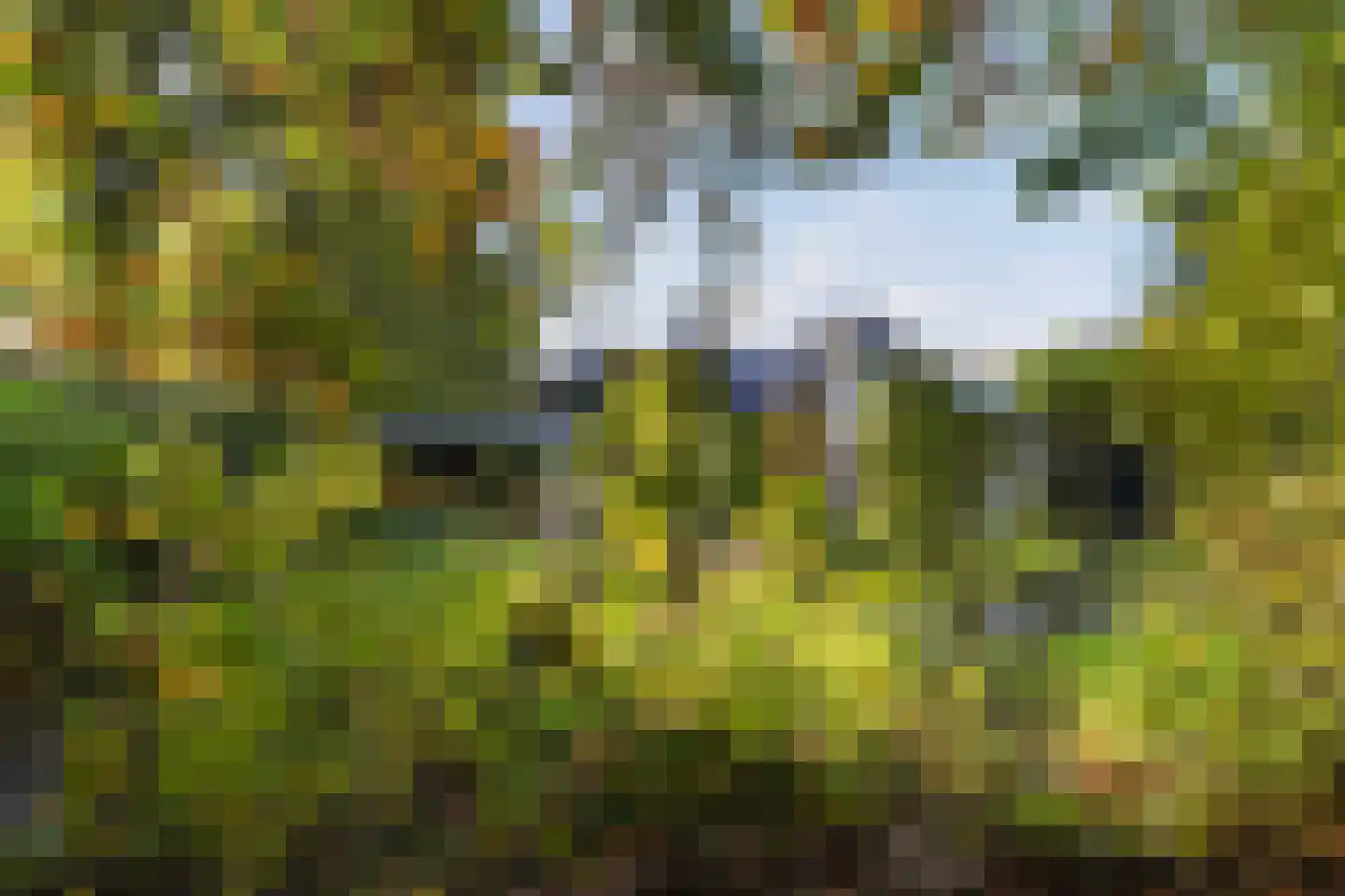 Grevelingen 73 Tilburg thumbnail 5