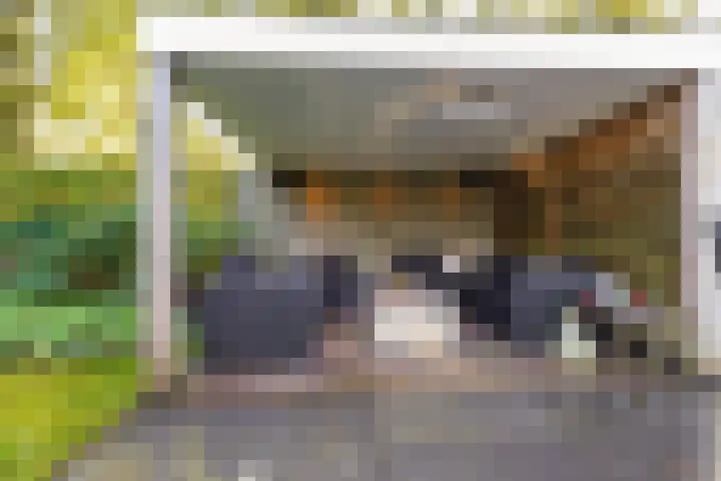 Grevelingen 73 Tilburg thumbnail 70