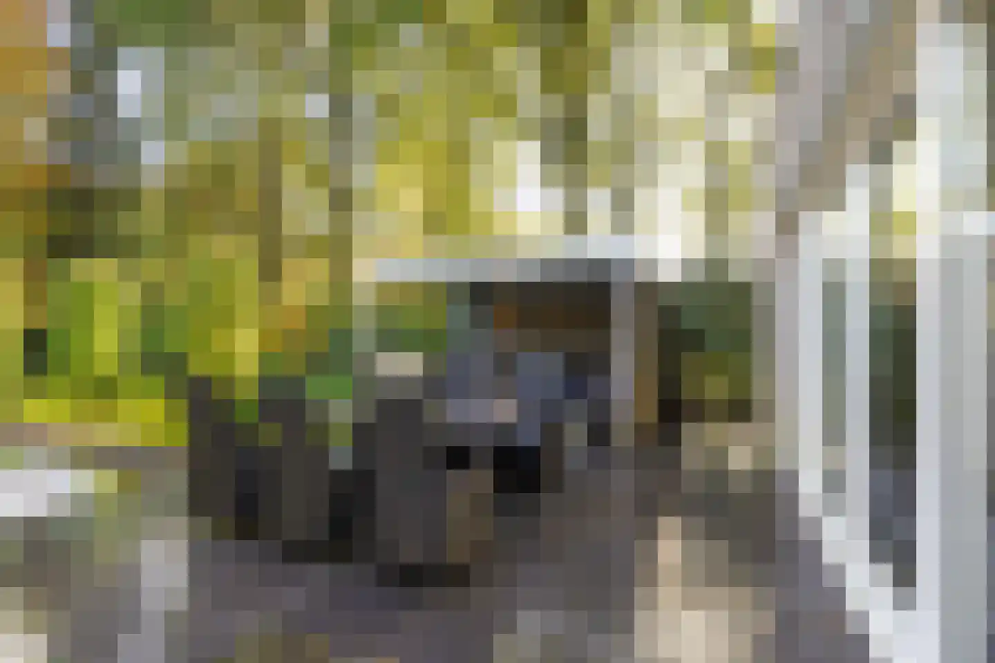Grevelingen 73 Tilburg thumbnail 71