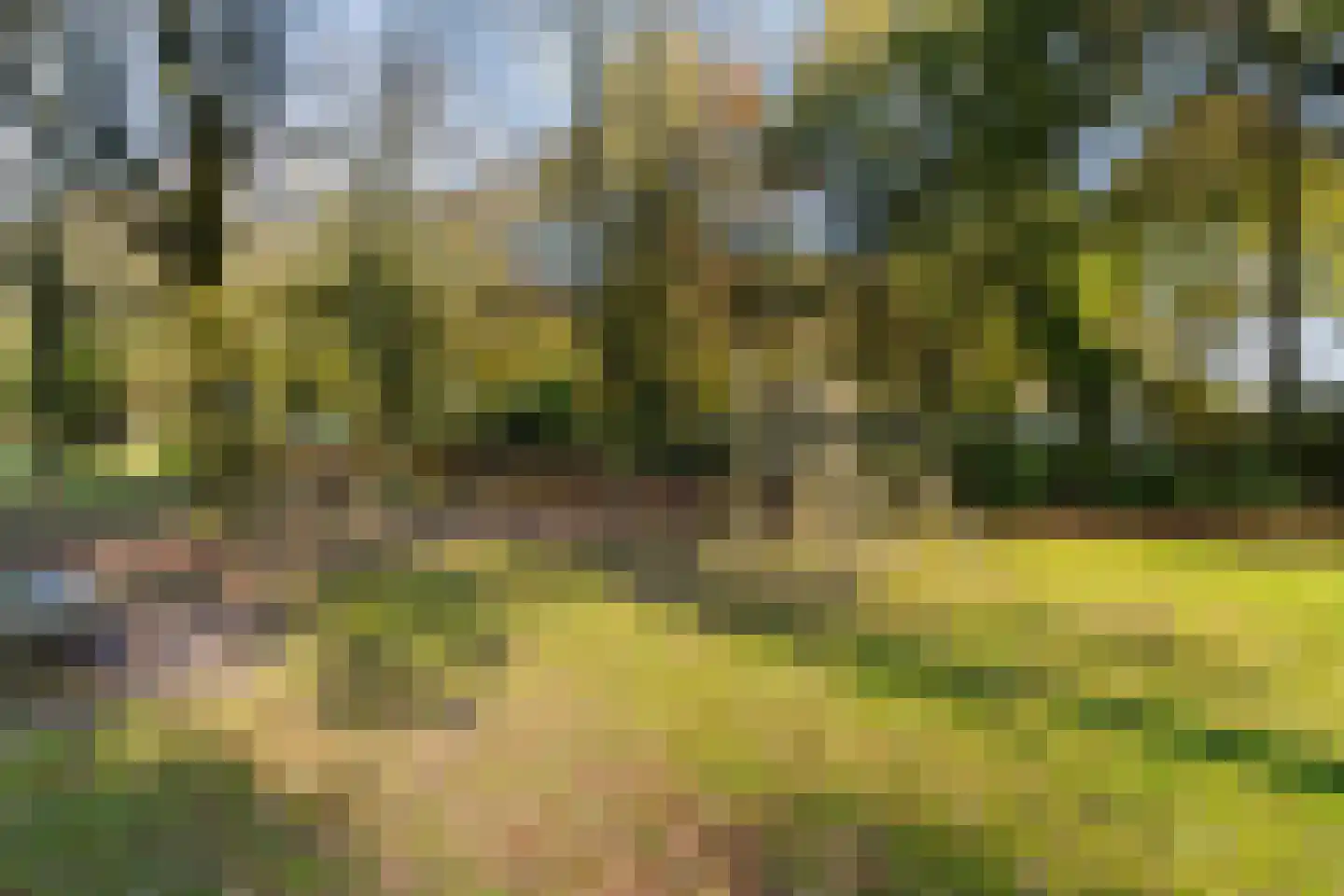 Grevelingen 73 Tilburg thumbnail 73