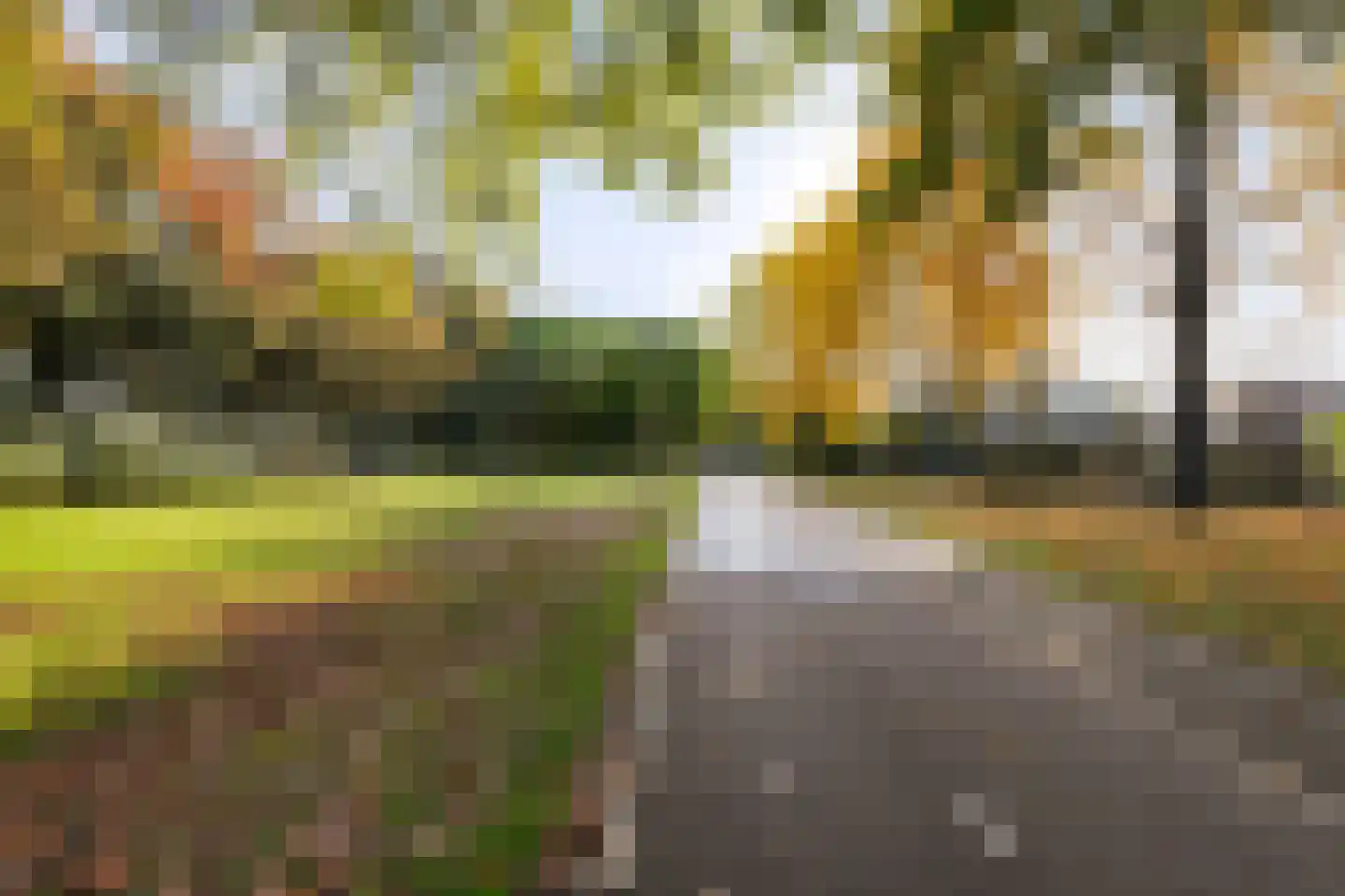 Grevelingen 73 Tilburg thumbnail 86