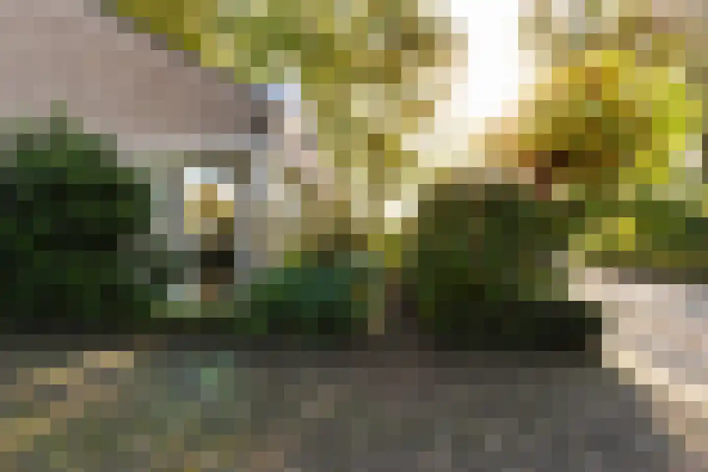 Grevelingen 73 Tilburg thumbnail 88