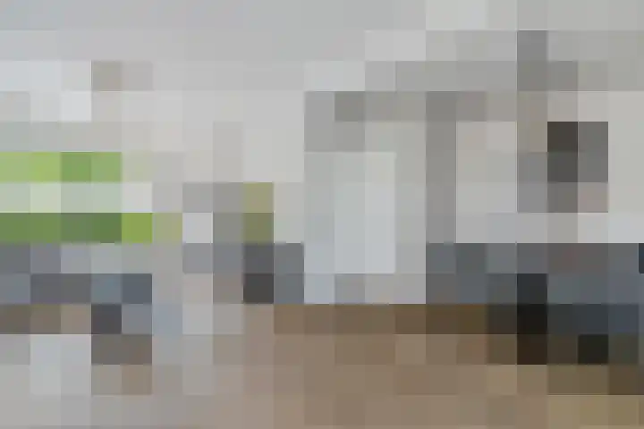 Grevelingen 73 Tilburg thumbnail 91