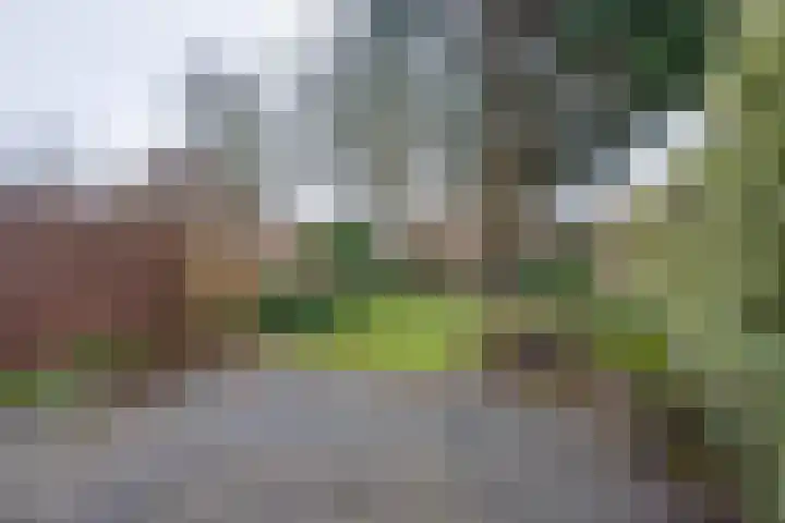 Grevelingen 86 Alkmaar thumbnail 18