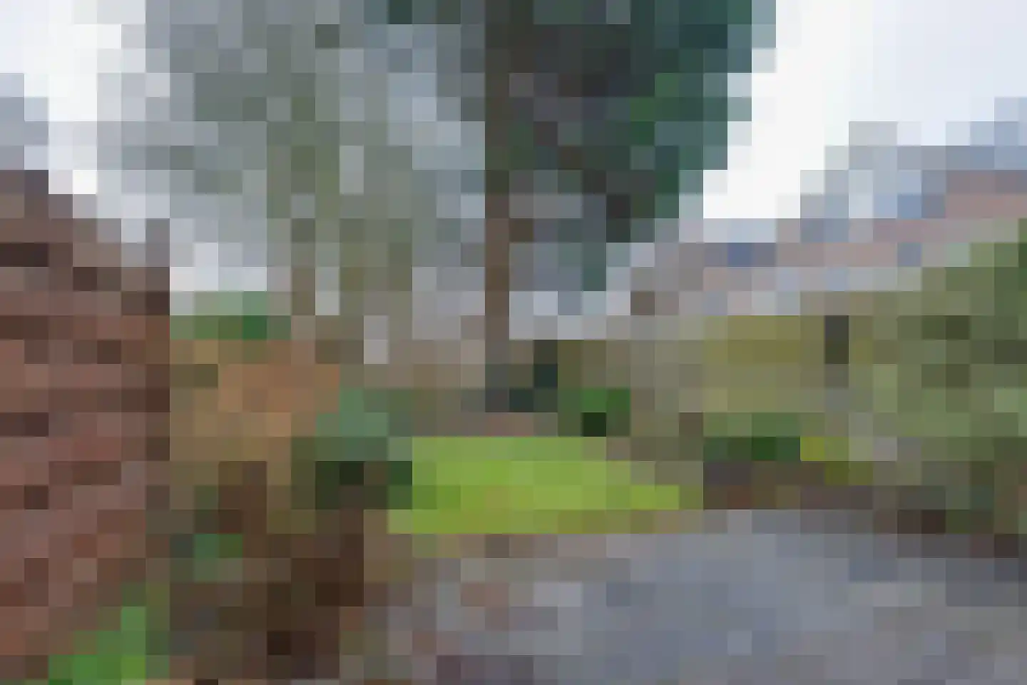 Grevelingen 86 Alkmaar thumbnail 19