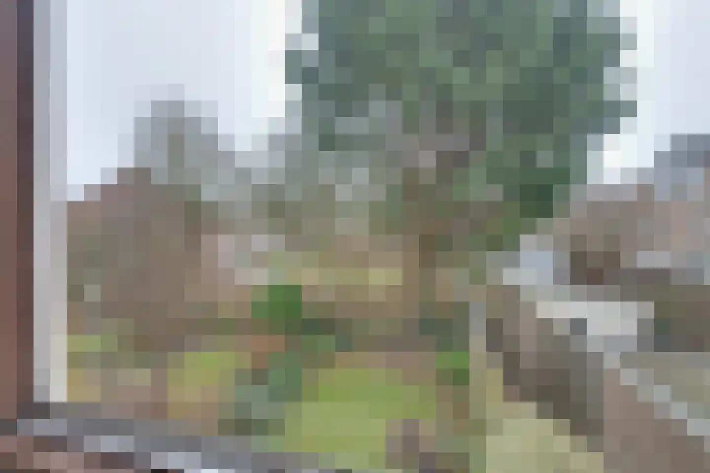 Grevelingen 86 Alkmaar thumbnail 28