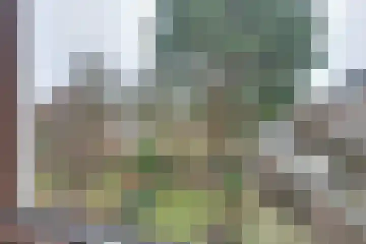 Grevelingen 86 Alkmaar thumbnail 28