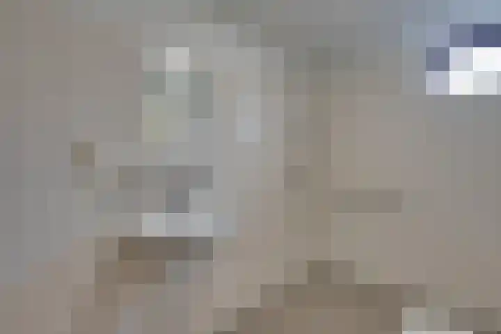Grevelingen 86 Alkmaar thumbnail 33