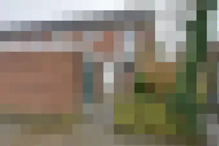 Grevelingen 86 Alkmaar thumbnail 37