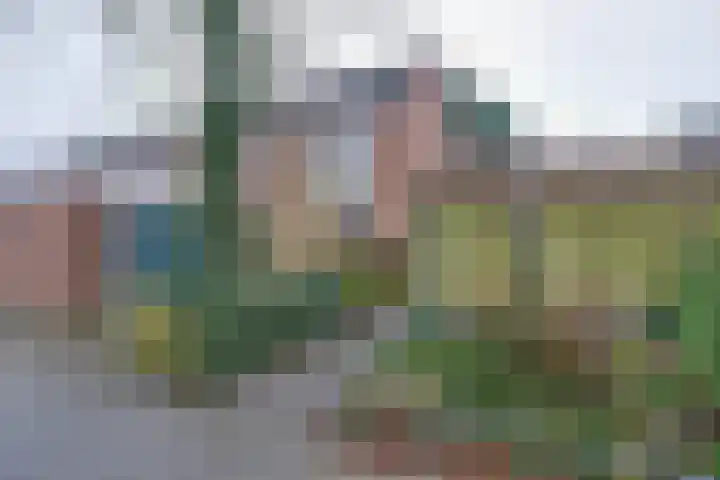 Grevelingen 86 Alkmaar thumbnail 39