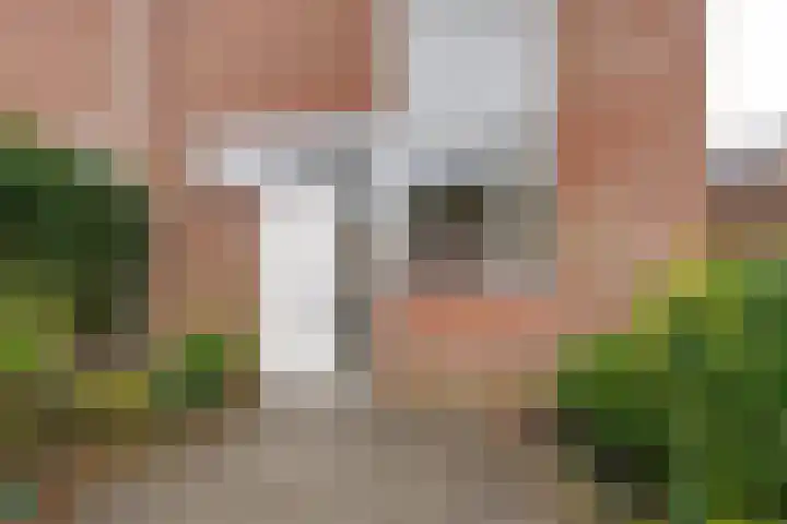 Grevelingen 86 Alkmaar thumbnail 41