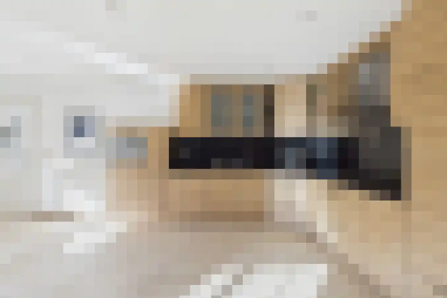 Grevelingen 9 Terneuzen thumbnail 14