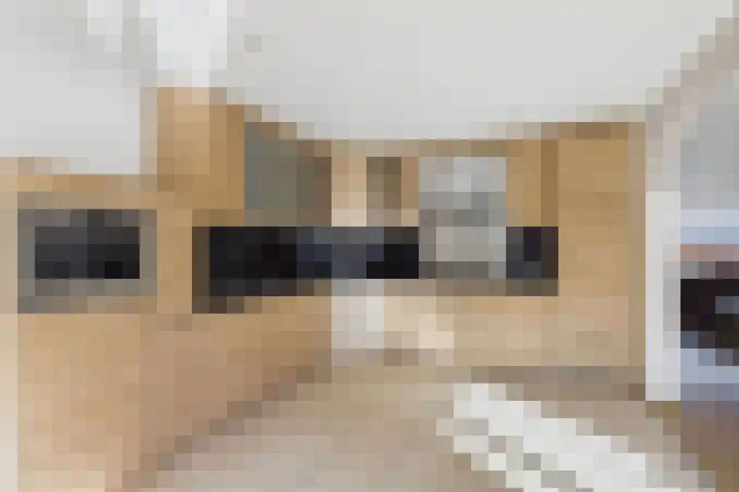 Grevelingen 9 Terneuzen thumbnail 15