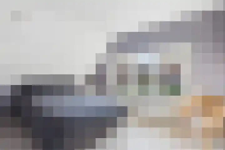 Grevelingen 9 Terneuzen thumbnail 22