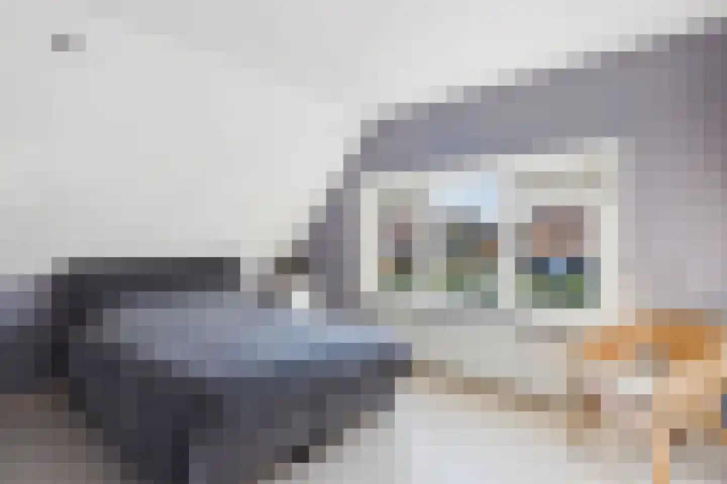 Grevelingen 9 Terneuzen thumbnail 22