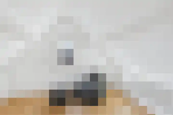 Grevelingen 9 Terneuzen thumbnail 35